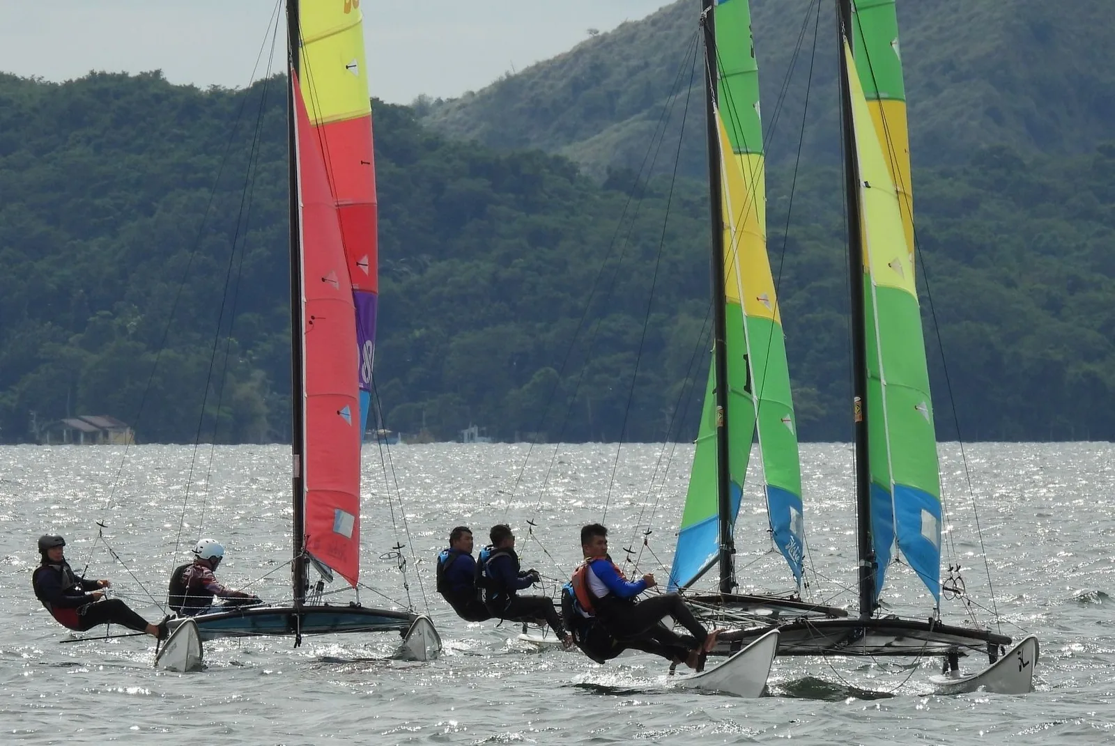 Fleet of Hobie catamarans with brightly coloured sails racing along a mountainous shoreline